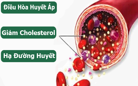 Huyết Áp-Tiểu Đường-Mỡ Máu