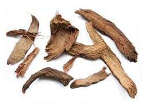 Thiên Niên Kiện - Trị Phong Thấp & Đau Nhức Xương Khớp Thiên Niên Kiện - Trị Phong Thấp & Đau Nhức Xương Khớp