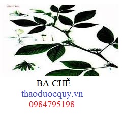 Ba Chẽ