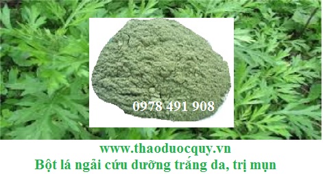 Bột ngải cứu - làm trắng da, phục hồi da hư tổn Bột ngải cứu - làm trắng da, phục hồi da hư tổn