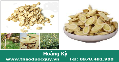 Món ăn bài thuốc tăng cường hệ miễn dịch