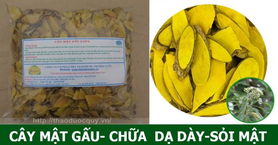 Cây Mật Gấu khô Cây Mật Gấu khô