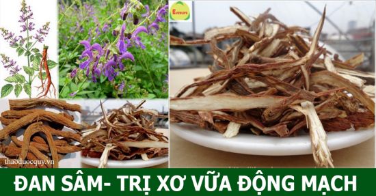Đan Sâm Đan Sâm