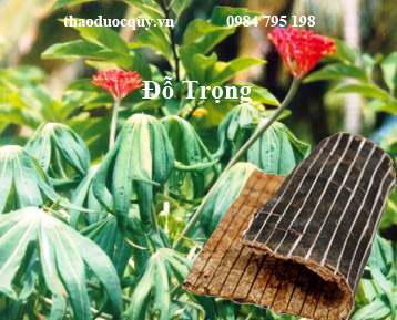 Đỗ Trọng Đỗ Trọng