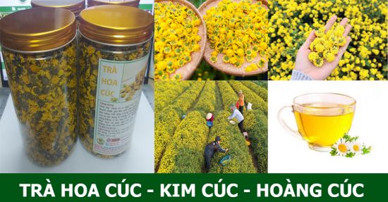 TRÀ HOA CÚC/ KIM CÚC/ HOÀNG CÚC NGUYÊN BÔNG TRÀ HOA CÚC/ KIM CÚC/ HOÀNG CÚC NGUYÊN BÔNG