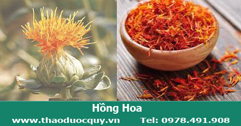Hồng hoa - hoạt huyết, thông kinh, giảm đau Hồng hoa - hoạt huyết, thông kinh, giảm đau