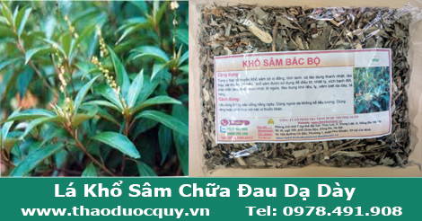 Lá Khổ Sâm Lá Khổ Sâm