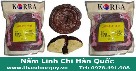 Nấm Linh Chi  Đỏ Hàn Quốc