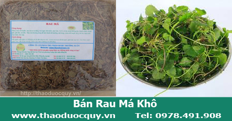Rau Má Khô Rau Má Khô