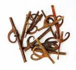 Cách dùng câu đằng hạ huyết áp