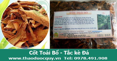 cốt to&aacute;i bổ, bổ thận, mạnh g&acirc;n xương