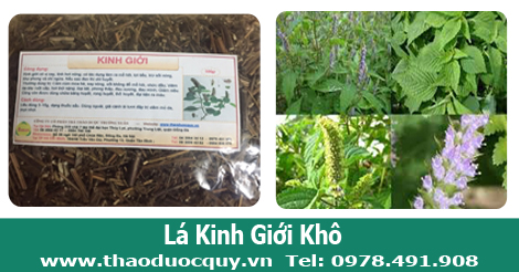 H&igrave;nh ảnh c&acirc;y kinh giới 