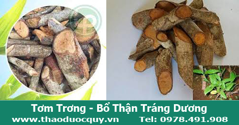 Tơm trơng, bổ thận tr&aacute;ng dương