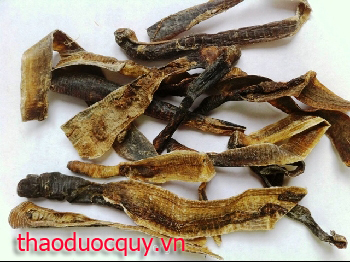 Uyên Thiện