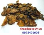 Bài thuốc trị hoa mắt, chóng mặt, rối loạn tiền đình